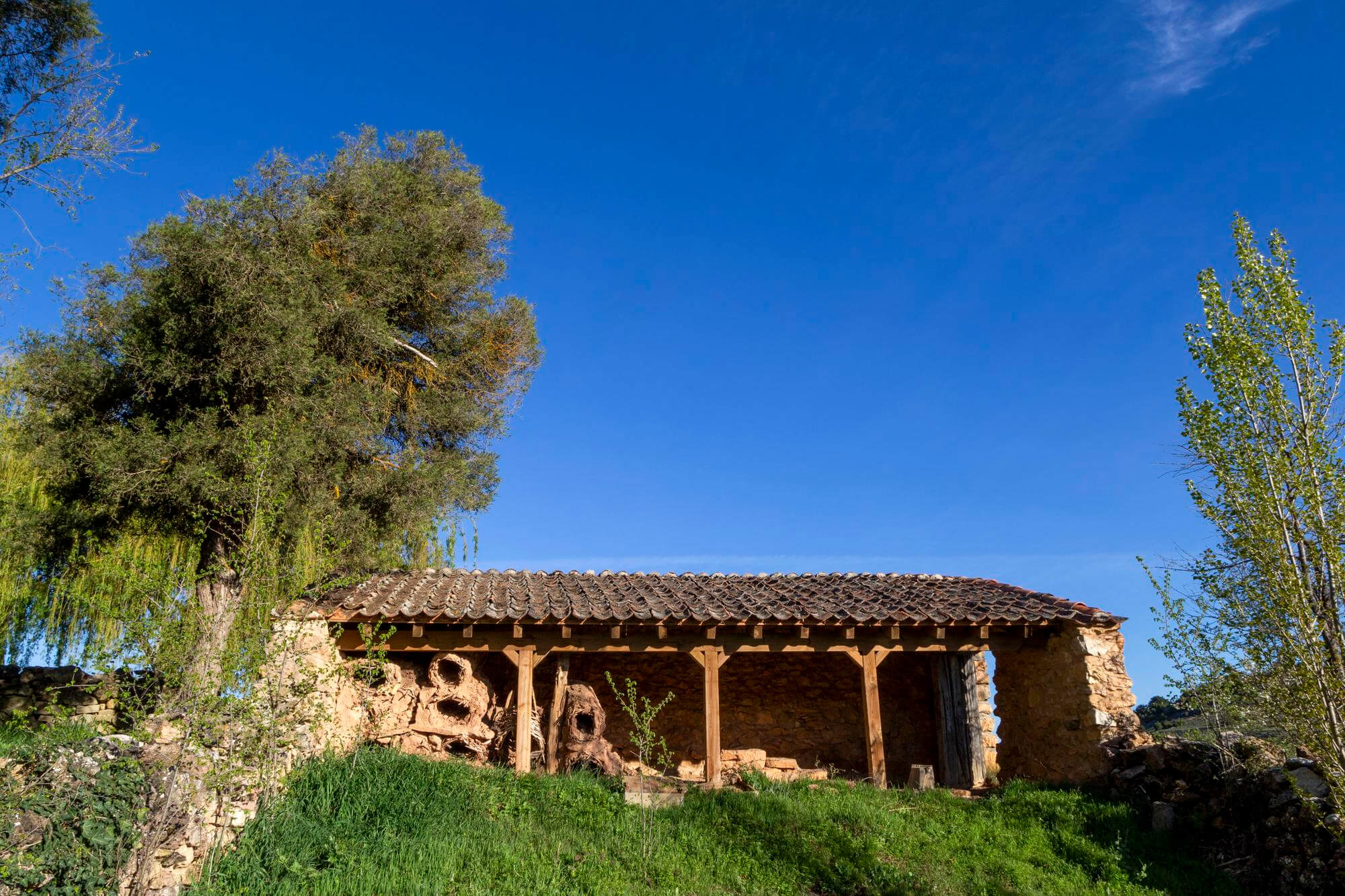 Checkin online para casa rural: cómo hacerlo bien y cumplir la ley en 2026